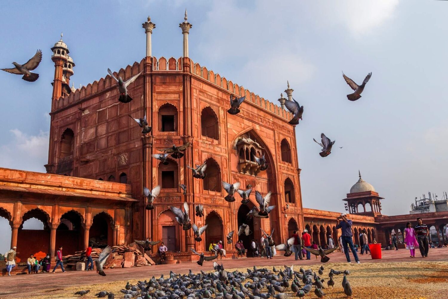 Best of Old and New Delhi in 8 Hours-1