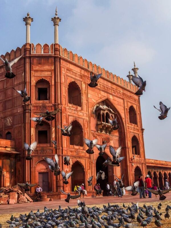 Best of Old and New Delhi in 8 Hours-1