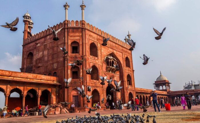 Best of Old and New Delhi in 8 Hours-1