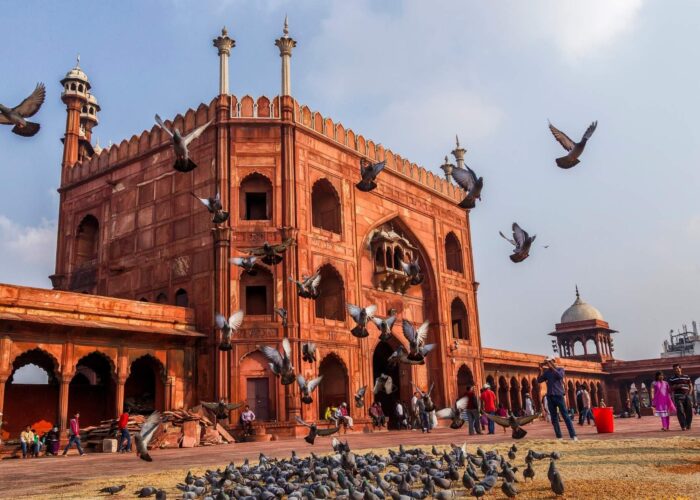 Best of Old and New Delhi in 8 Hours-1