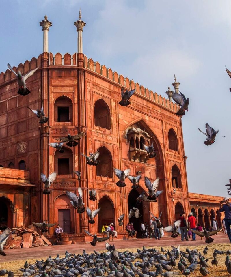 Best of Old and New Delhi in 8 Hours-1